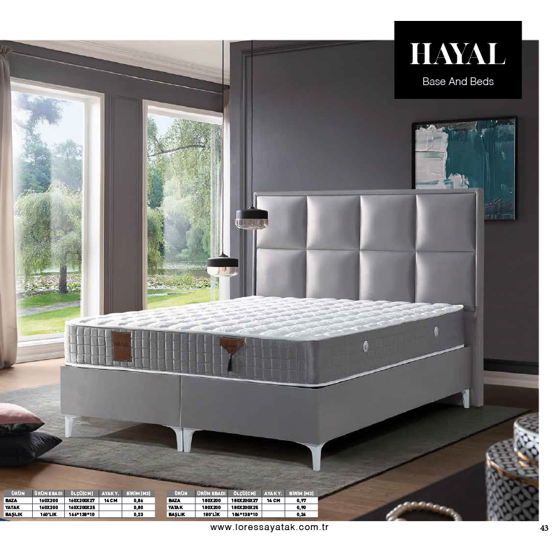 Hayal